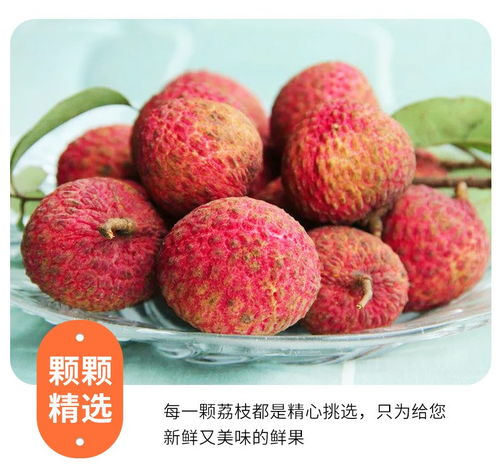高州白糖罌荔枝 當季鮮果，滋味直達——5斤裝整箱批發品鑒